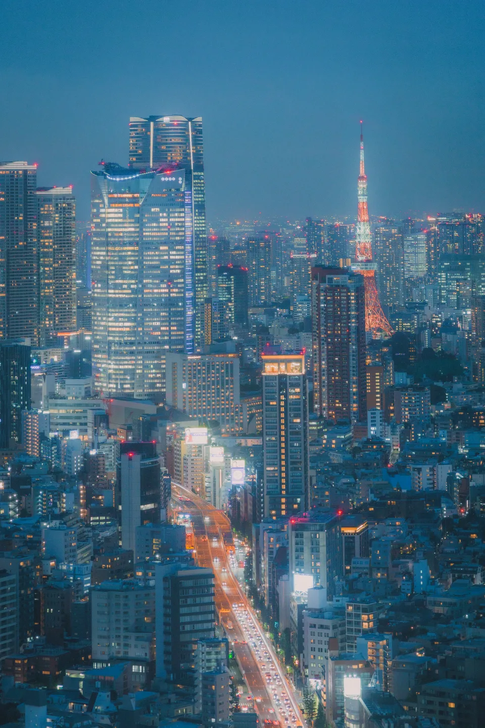 Tokyo from above