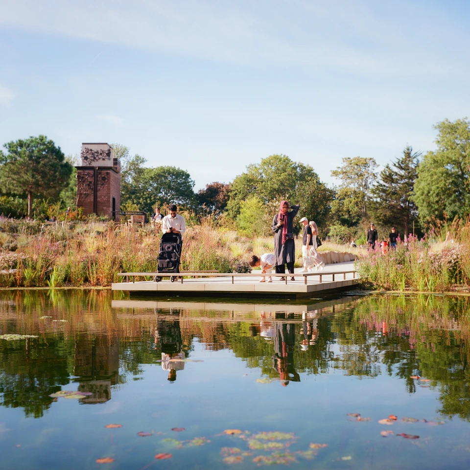 A boardwalk over a lily pond