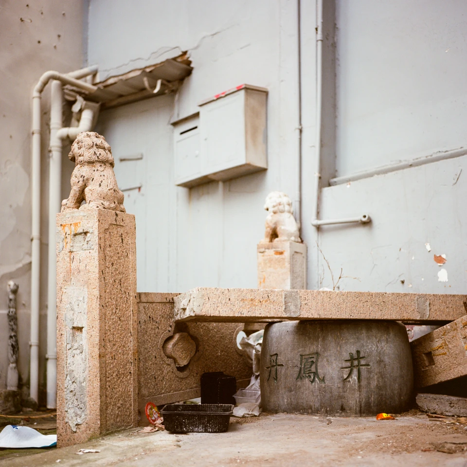 Stone lions and carved stone