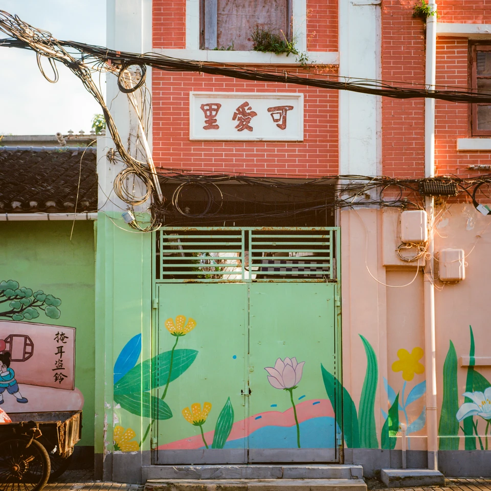 A green door with a painted lotus